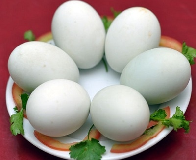 Can trong khi an nhieu trung vit lon hinh anh