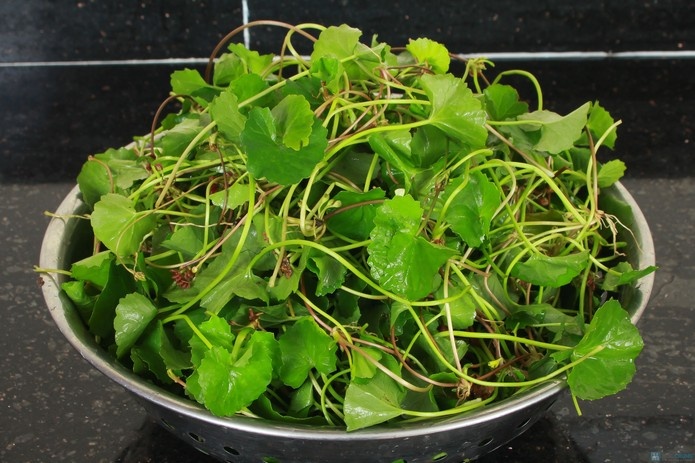 Chong thua can tu rau ma hinh anh