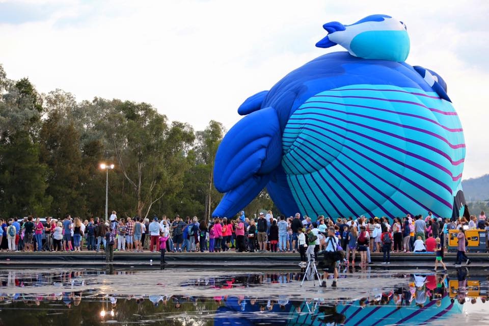 Ngày Canberra Day tại Australia ảnh 6 Ngay Canberra Day tai Australia anh 6