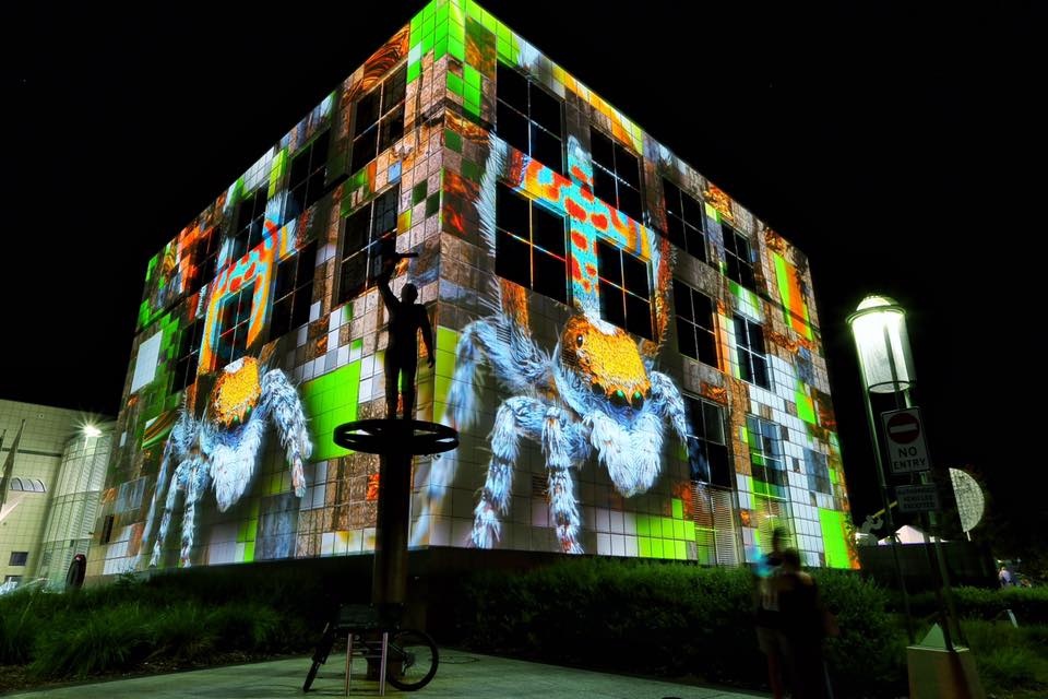 Ngày Canberra Day tại Australia ảnh 9 Ngay Canberra Day tai Australia anh 9