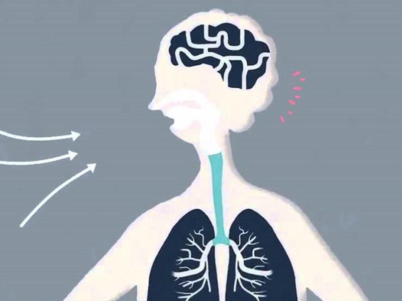 Phoi hoat dong nhu the nao? hinh anh