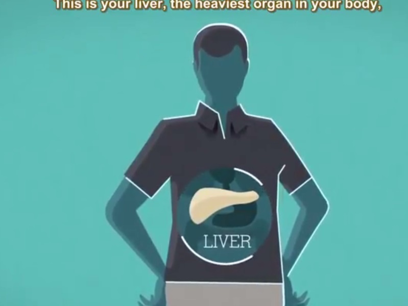 Co quan nang nhat co the hoat dong the nao? hinh anh