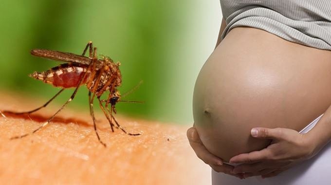 Nhung dieu can biet ve virus Zika hinh anh