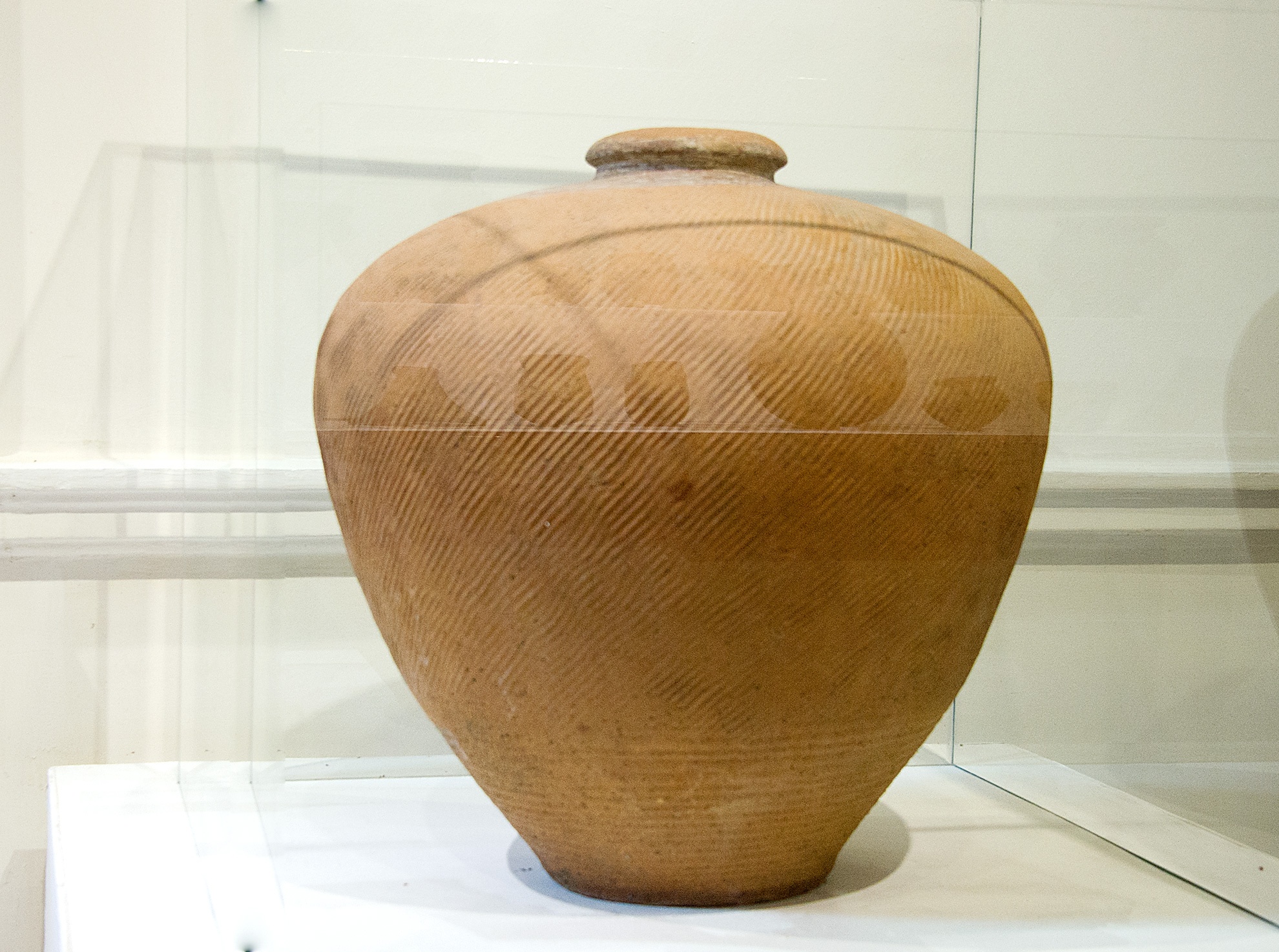 Co vat Festival Hue 2016 anh 6