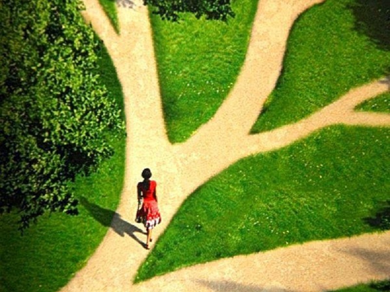 Phai lam gi khi bi lac trong rung? hinh anh