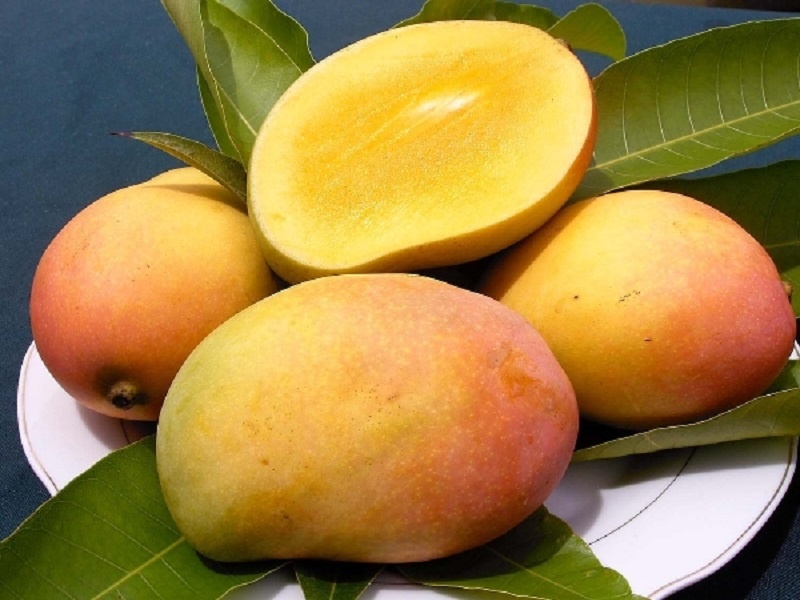 5 trai cay giai nhiet mua he hieu qua hinh anh