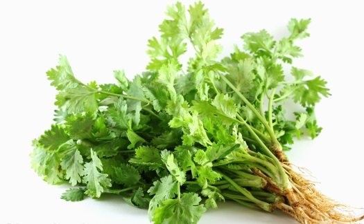 Thực phẩm giúp cơ thể giải độc kim loại nặng ảnh 1 Thuc pham giup co the giai doc kim loai nang anh 1