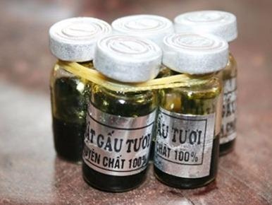 An mat dong vat chua benh: Tien mat tat mang hinh anh