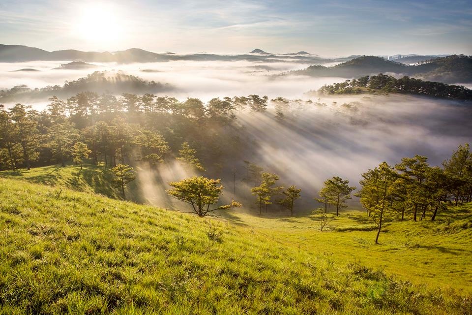 Mua thu diu ngot o xu ngan hoa hinh anh