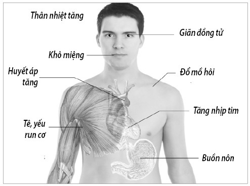 Ma tuy tem giay anh 2
