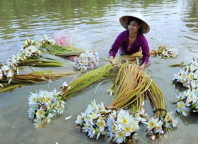 Ve dep binh di ma say long cua An Giang hinh anh