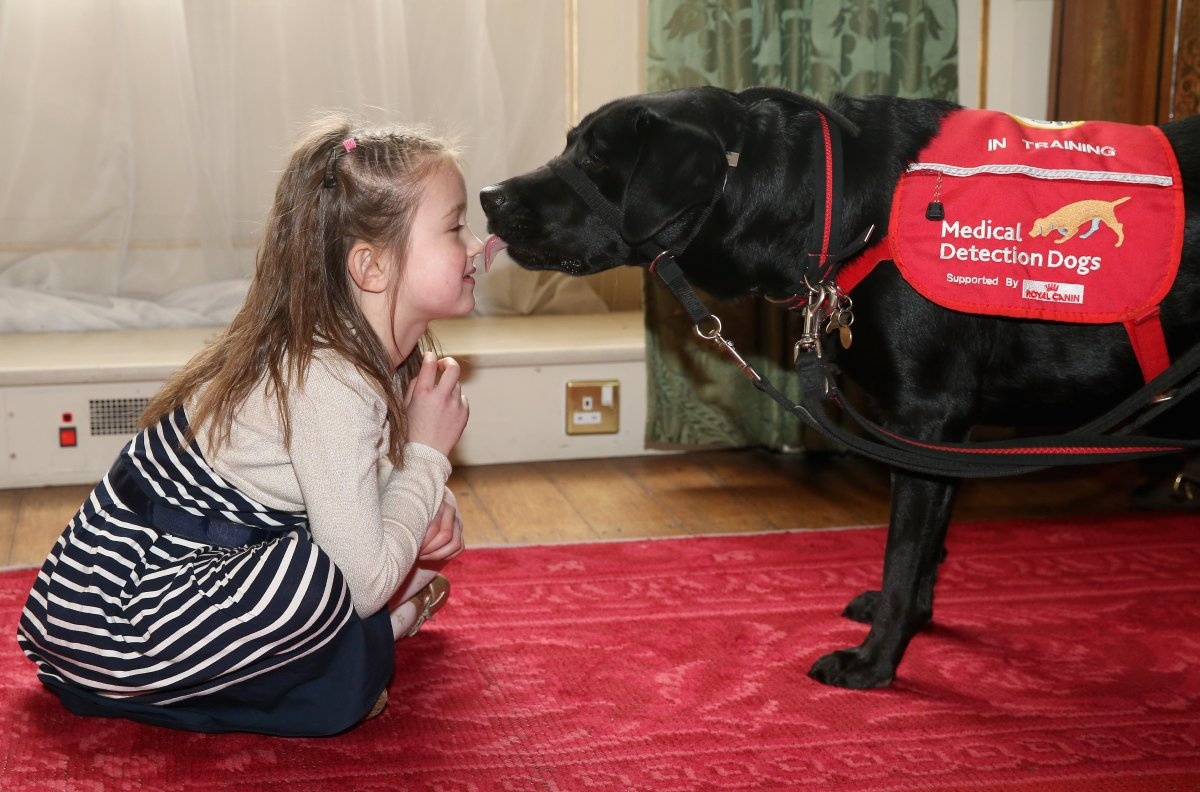 lợi ích sức khỏe của việc nuôi chó ảnh 3 loi ich suc khoe cua viec nuoi cho anh 3