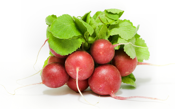 thuc pham chua benh tri anh 2