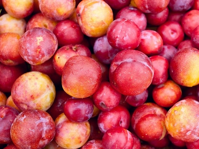 thuc pham chua benh tri anh 6