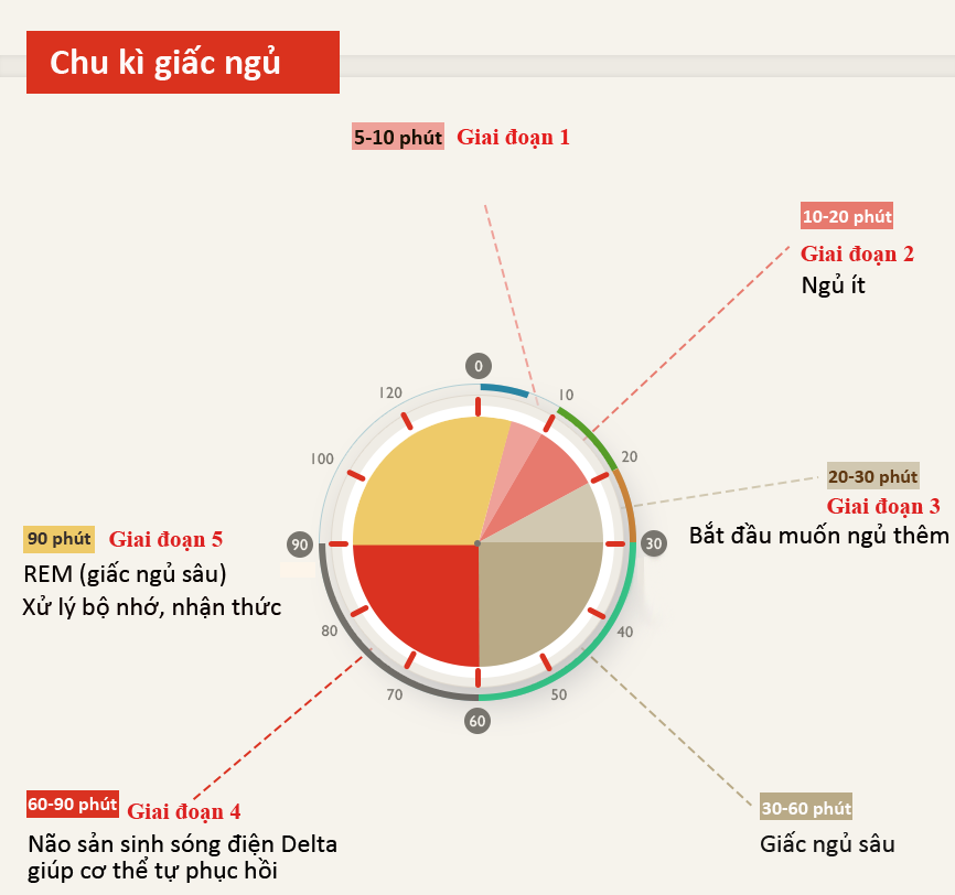 Giac ngu trua quan trong anh 4