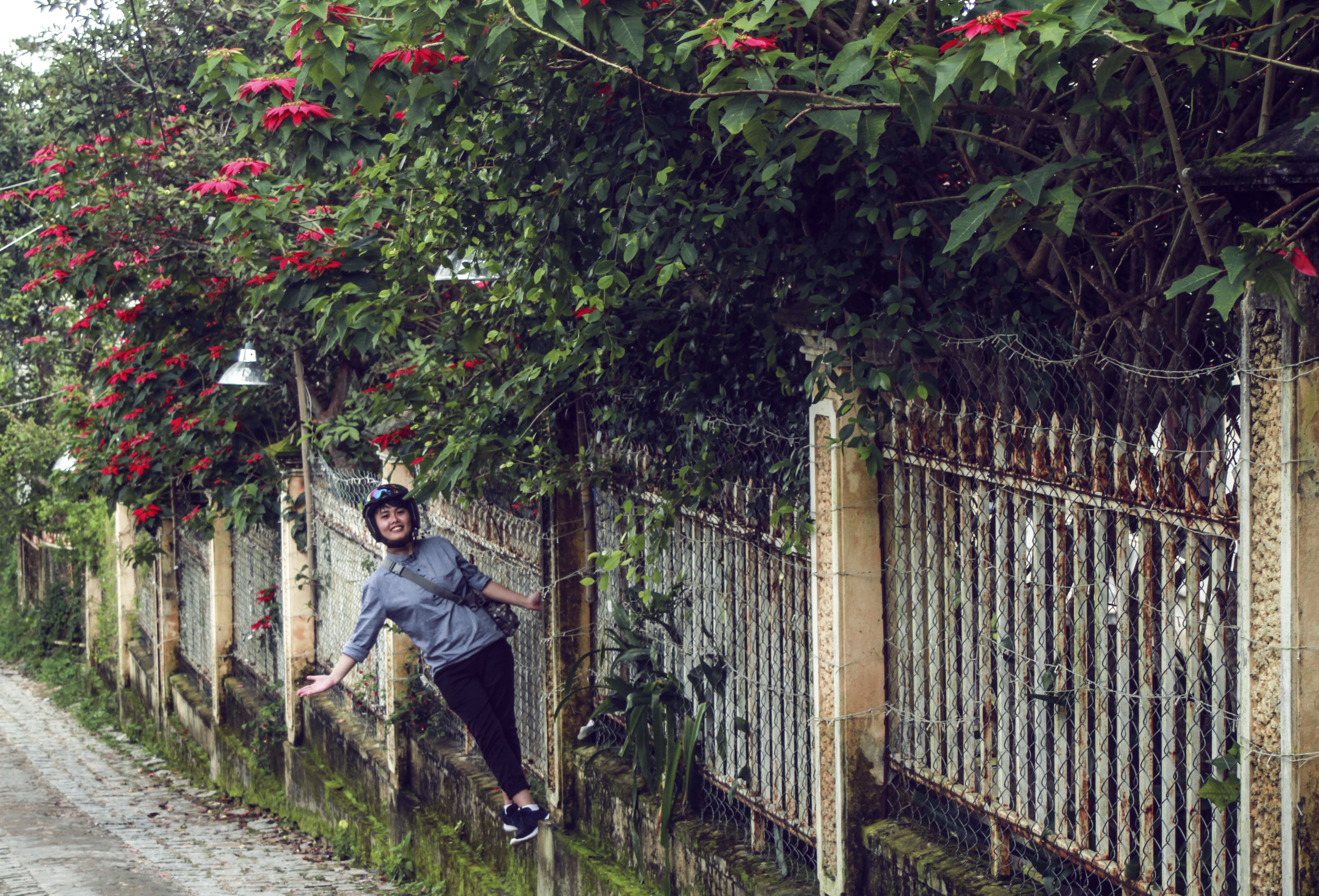 Lưu ý trước khi tới Đà Lạt mùa dã quỳ ảnh 3 Luu y truoc khi toi Da Lat mua da quy anh 3