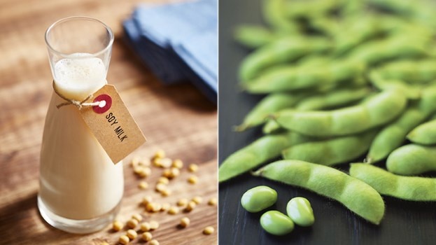 lua chon sua tot cho nong do cholesterol anh 3