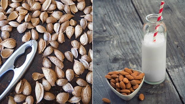 lua chon sua tot cho nong do cholesterol anh 4