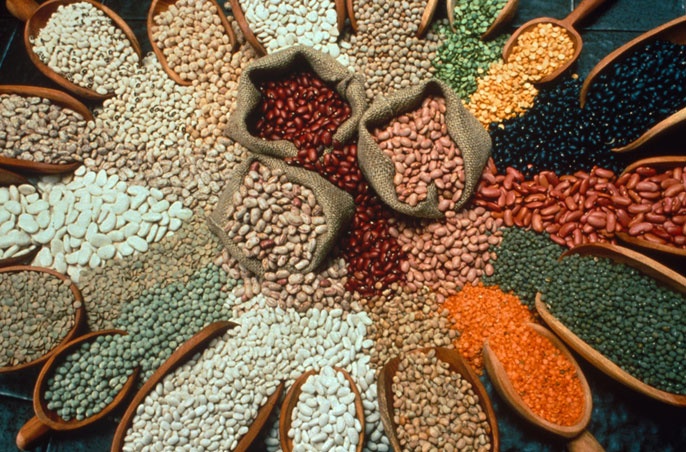 thực phẩm chống ung thư ảnh 1 thuc pham chong ung thu anh 1