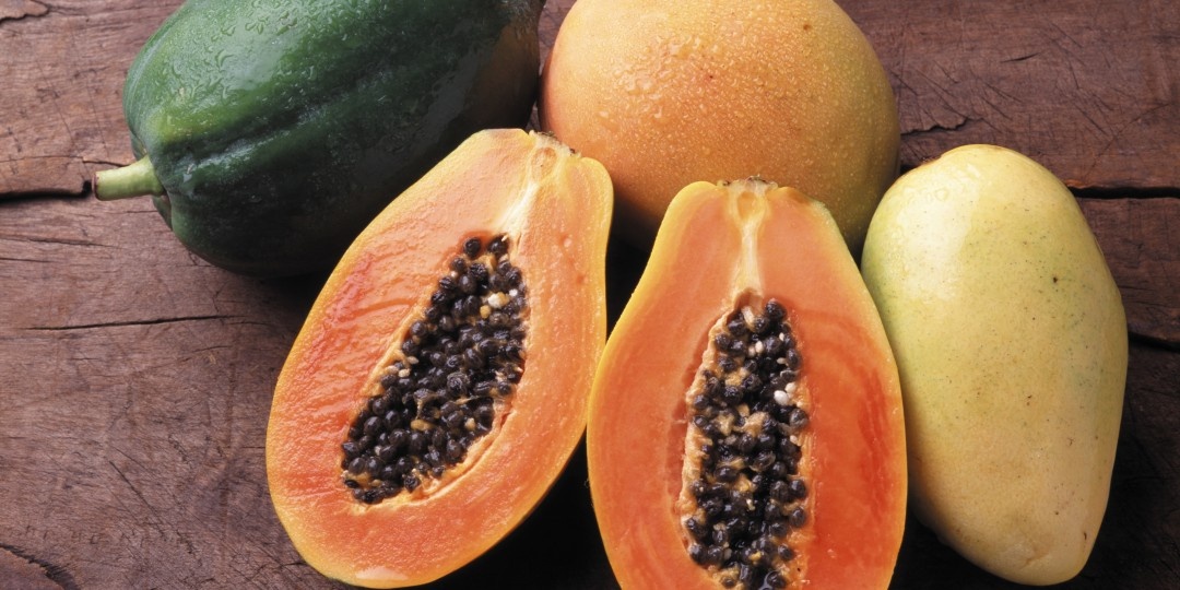 trai cay tot cho dan ong anh 2