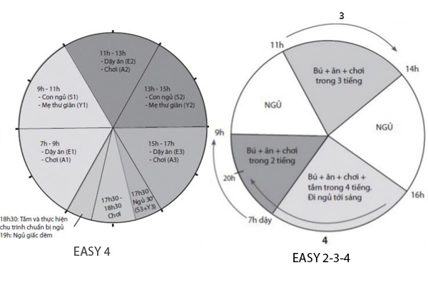 EASY, Tracy Hogg ảnh 3 EASY, Tracy Hogg anh 3