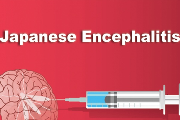 Nhung dieu can biet ve benh viem nao Nhat Ban hinh anh