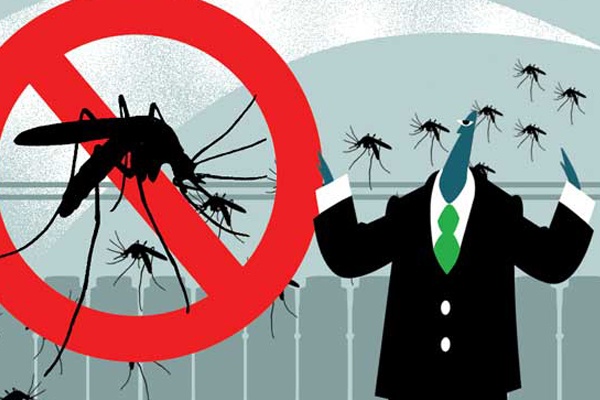 Viêm não Nhật Bản,  vắc xin ảnh 2 Viem nao Nhat Ban,  vac xin anh 2