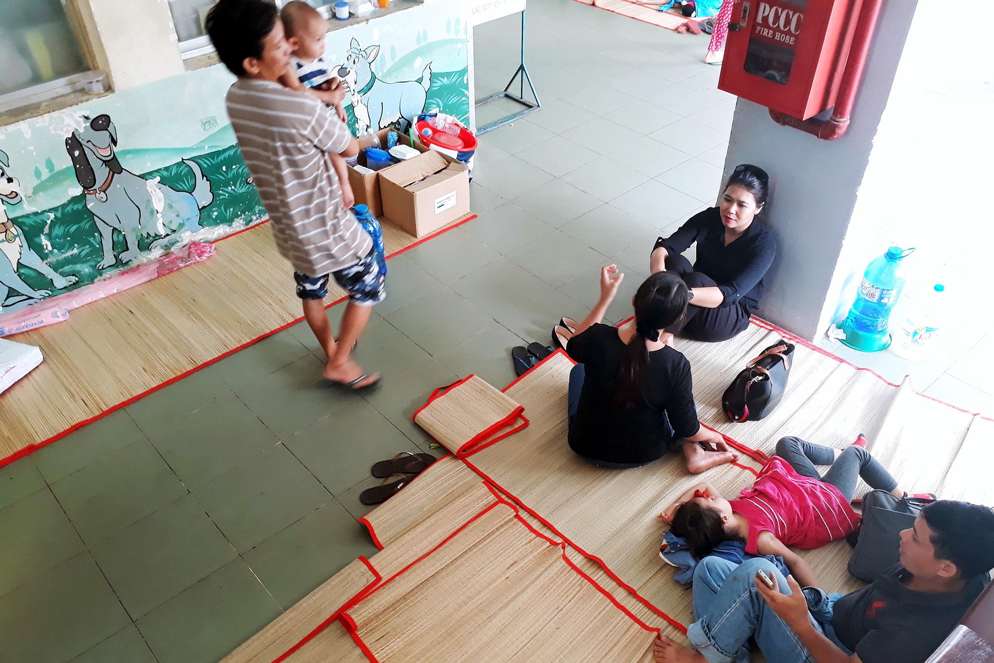 sot xuat huyet anh 11