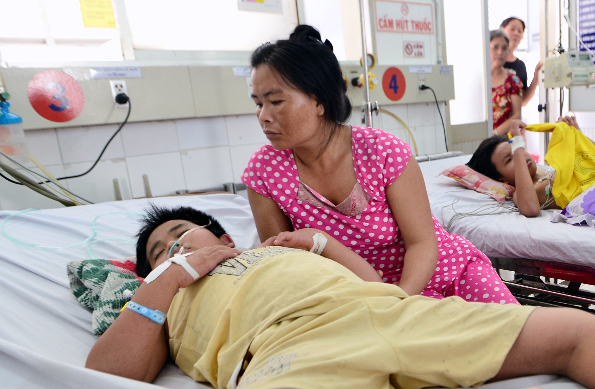 sot xuat huyet anh 2