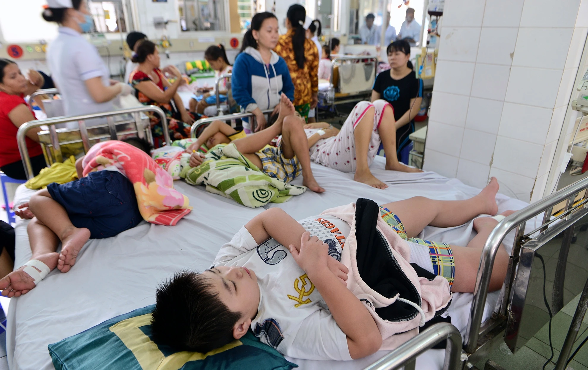 sot xuat huyet, anh 2