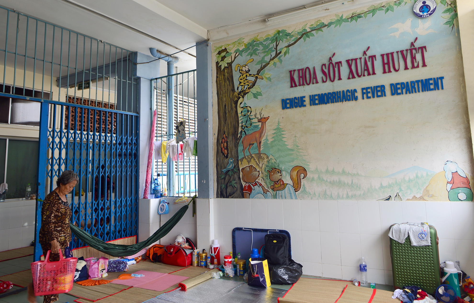 sot xuat huyet anh 8