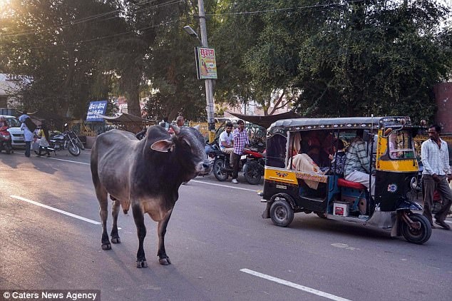 du khach den dui nhat the gioi anh 6