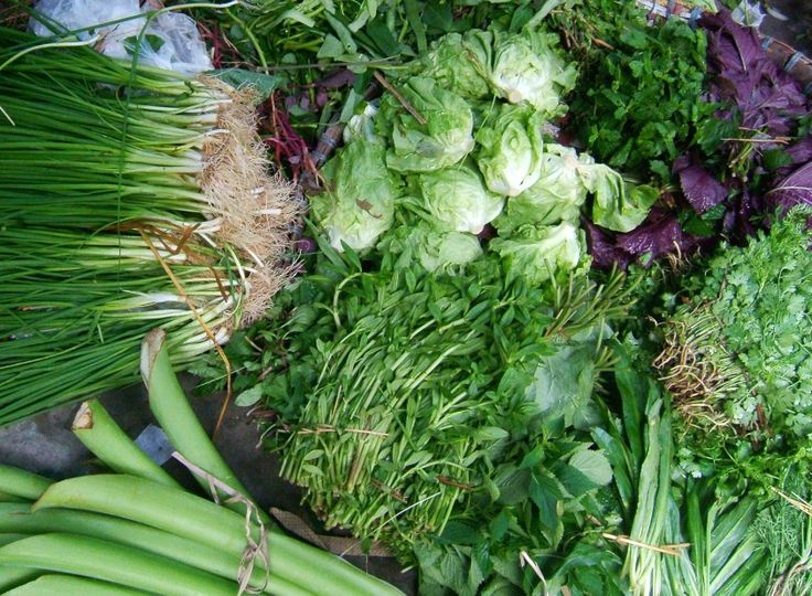 rau gia vị nào có tác dụng chữa bệnh nhất ảnh 3 rau gia vi nao co tac dung chua benh nhat anh 3