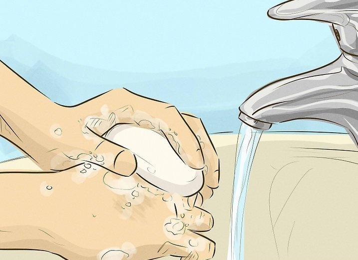 Trắc nghiệm: Nên làm gì để không bị bệnh dại? ảnh 6 Trac nghiem: Nen lam gi de khong bi benh dai? anh 6