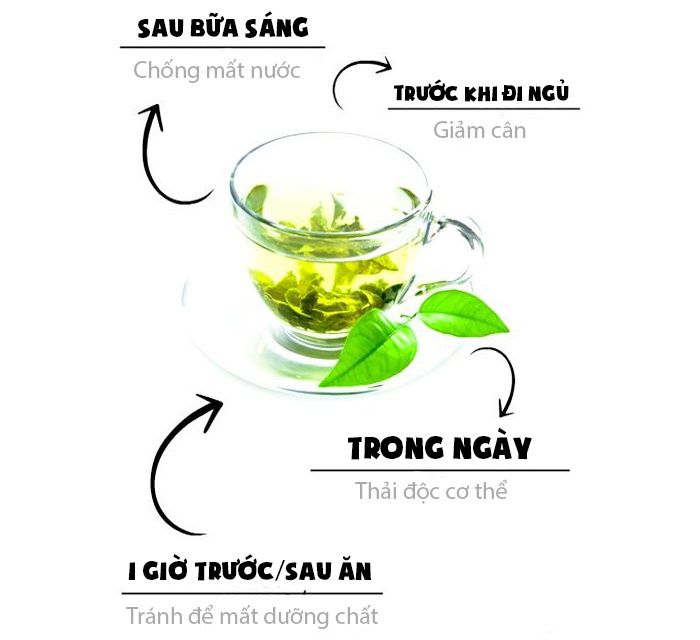 nên uống trà xanh ảnh 2 nen uong tra xanh anh 2