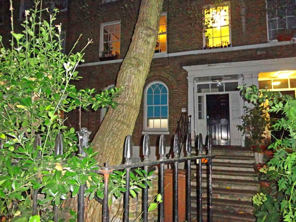 ung dung moi nguoi la toi nha an com anh 4