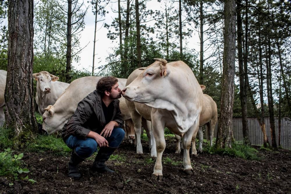 quy trình cấp đông thịt bò Polmard ảnh 1 quy trinh cap dong thit bo Polmard anh 1