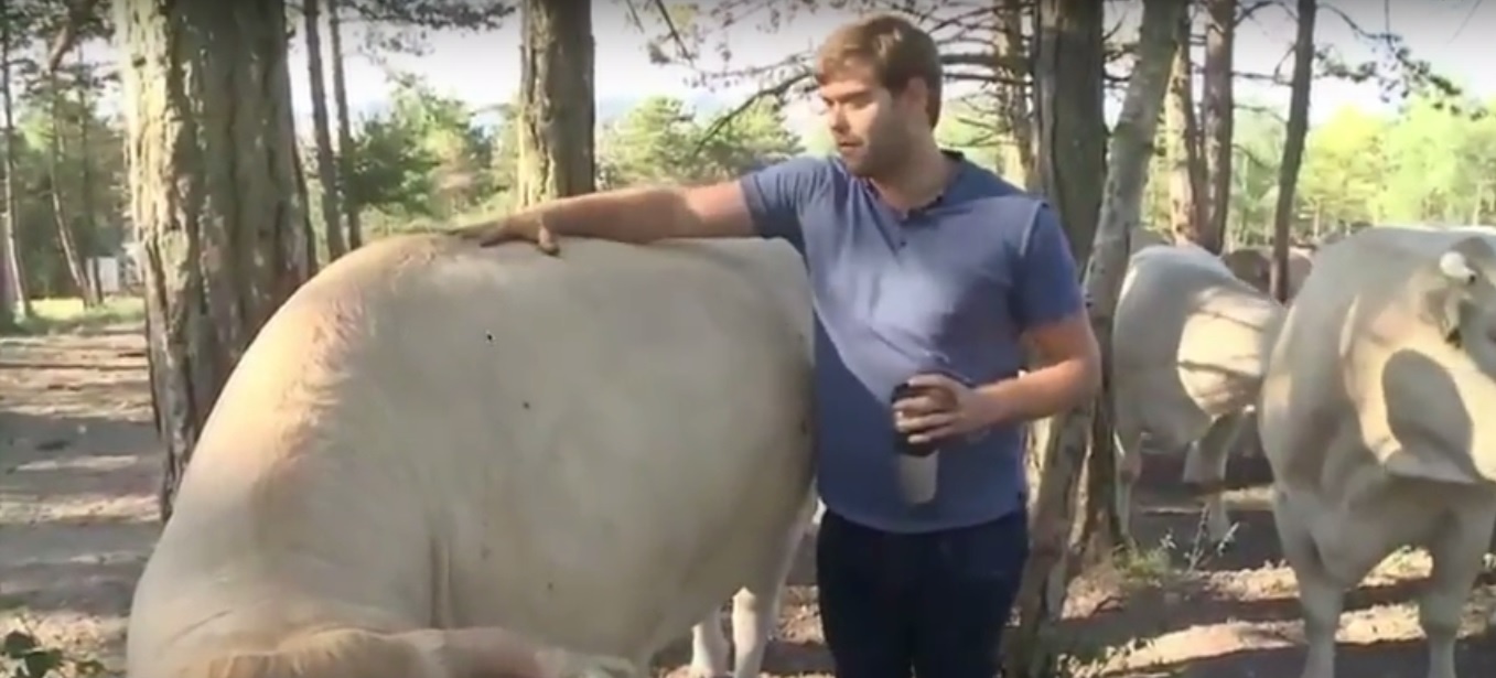 quy trình cấp đông thịt bò Polmard ảnh 3 quy trinh cap dong thit bo Polmard anh 3