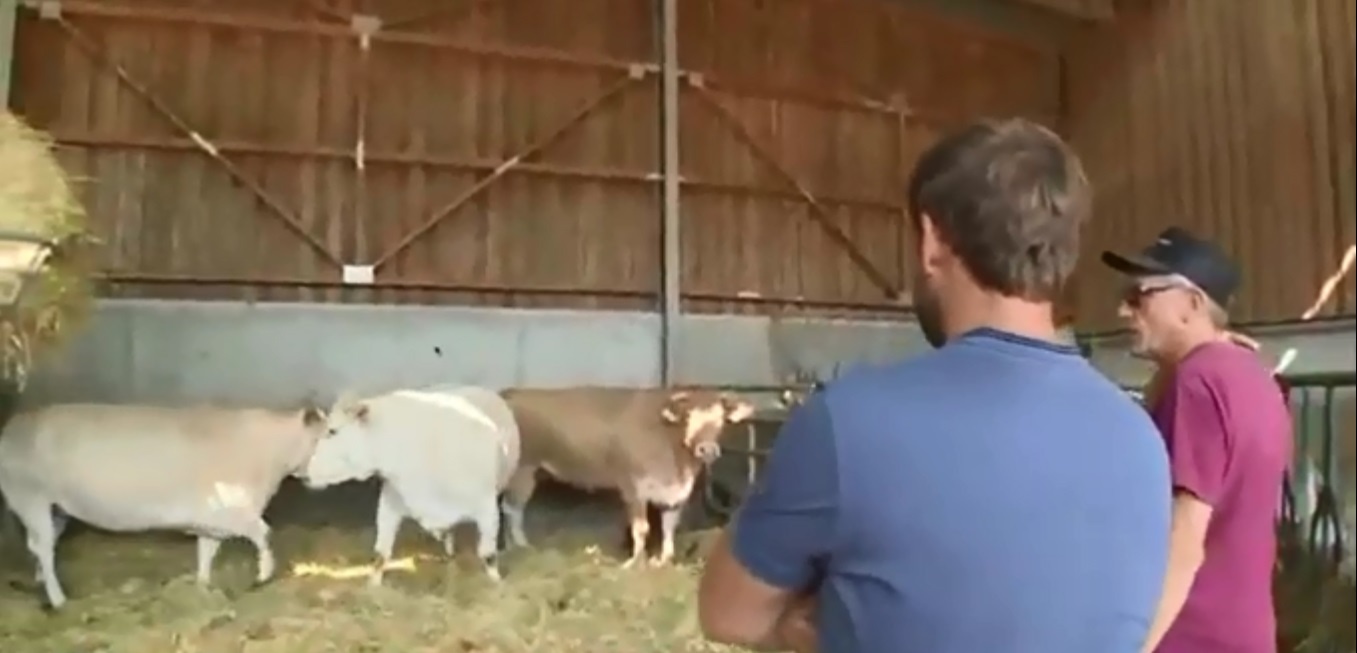 quy trình cấp đông thịt bò Polmard ảnh 4 quy trinh cap dong thit bo Polmard anh 4