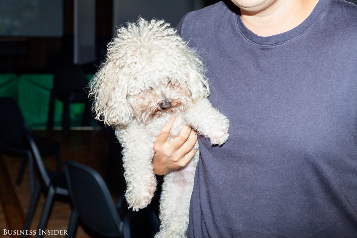 Ben trong van phong kieu mau cua Uber tai My hinh anh