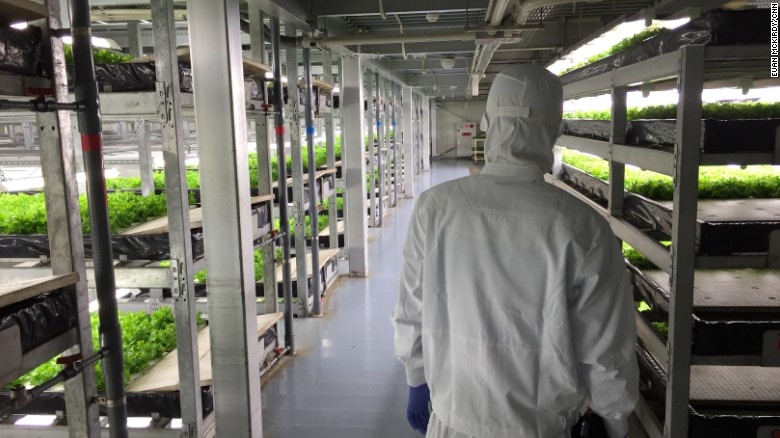 Bên trong trang trại sản xuất 20.000 cây rau mỗi ngày của Nhật ảnh 2 Ben trong trang trai san xuat 20.000 cay rau moi ngay cua Nhat anh 2