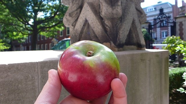 21 điều tệ nhất khi làm việc tại Apple ảnh 1 21 dieu te nhat khi lam viec tai Apple anh 1