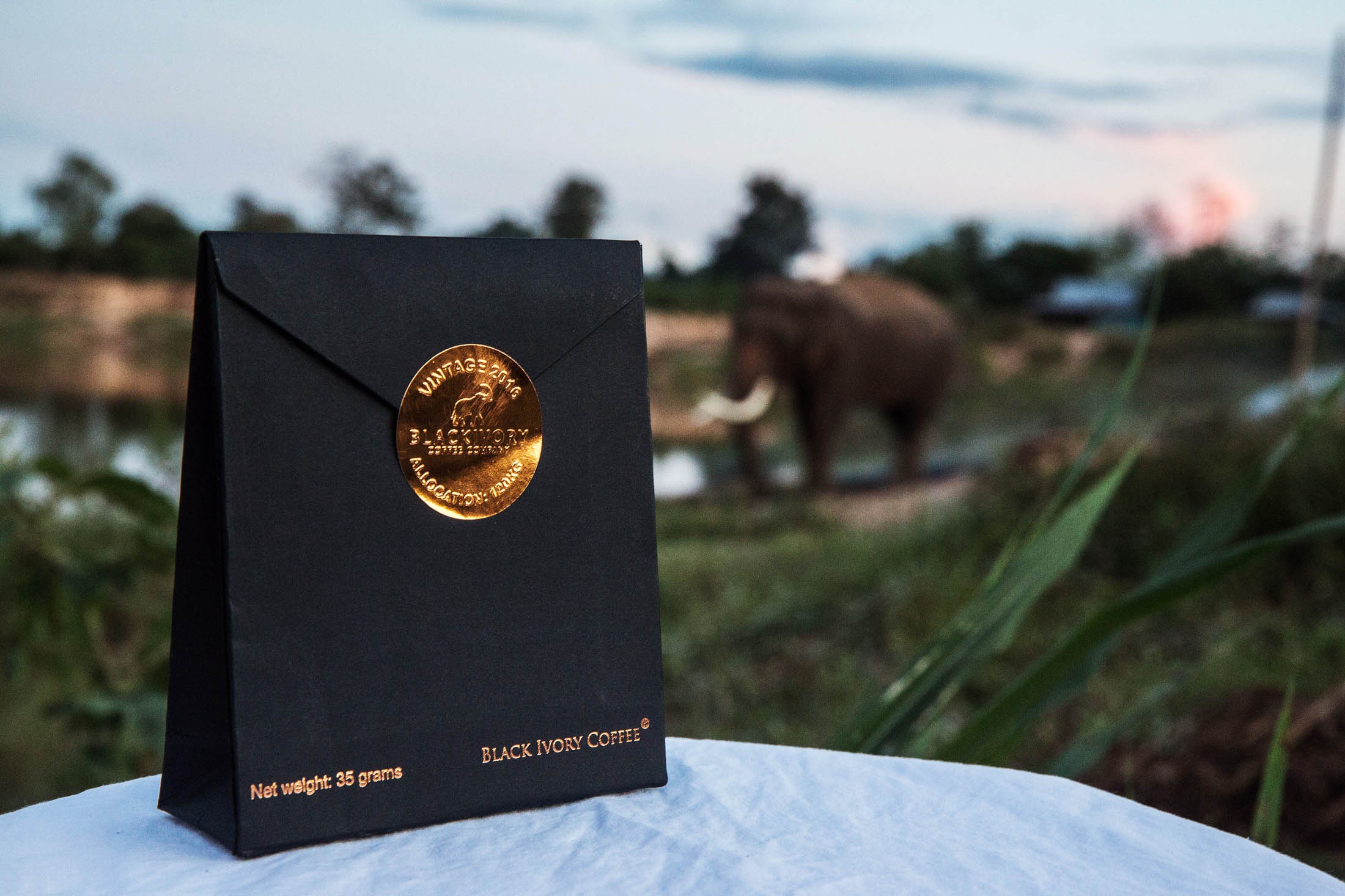 Toàn cảnh thu hoạch cafe đắt nhất thế giới từ phân voi ảnh 12 Toan canh thu hoach cafe dat nhat the gioi tu phan voi anh 12