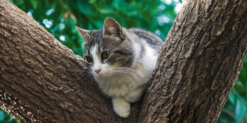 7 bao bien khien ban luon ngap dau trong no anh 3