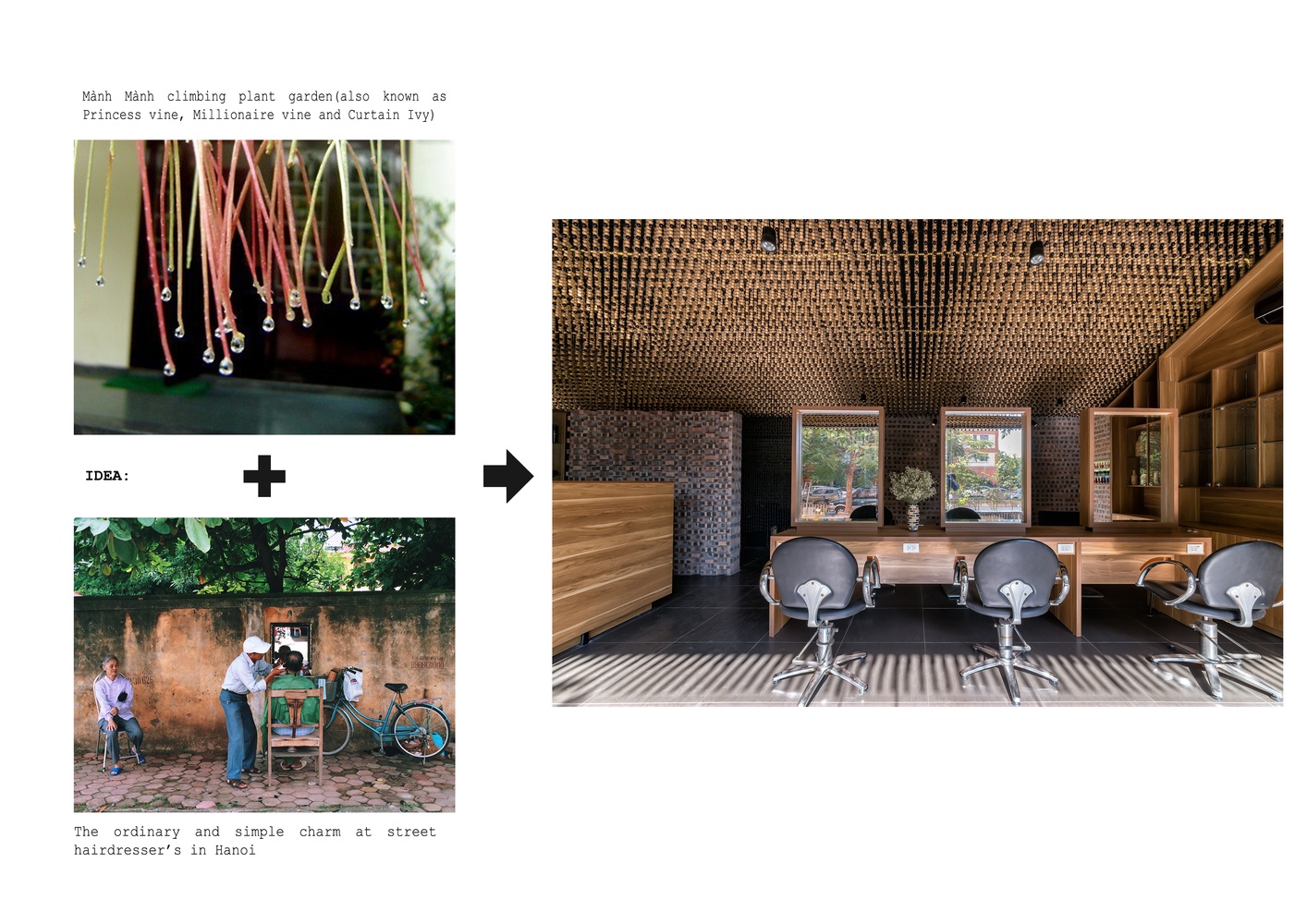 Tiem toc doc dao voi 200.000 hat go o Ha Dong anh 13