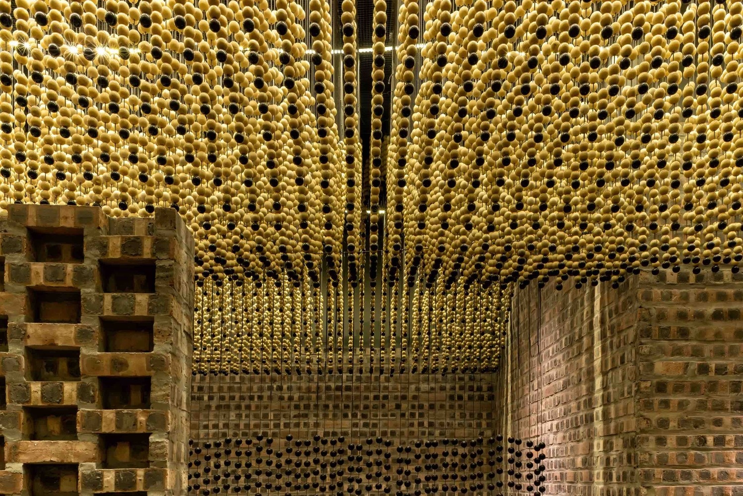 Tiem toc doc dao voi 200.000 hat go o Ha Dong anh 2