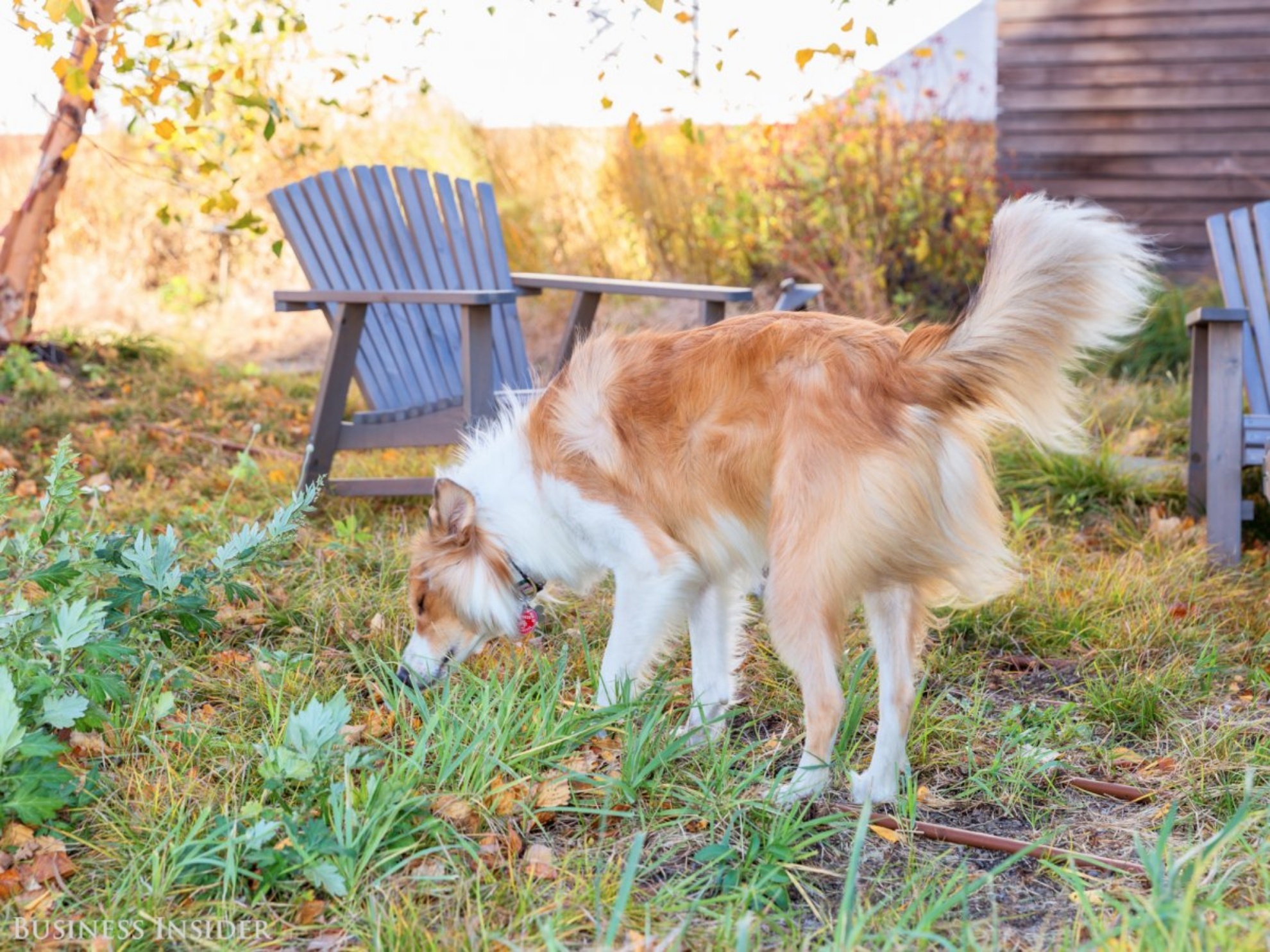 Nhan vien cac hang cong ty My giai tri nhu the nao o van phong? anh 15