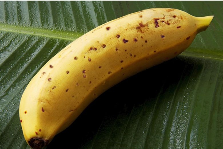 Chuối ăn được cả vỏ Nhật Bản giá gần 8 USD/quả ảnh 2 Chuoi an duoc ca vo Nhat Ban gia gan 8 USD/qua anh 2