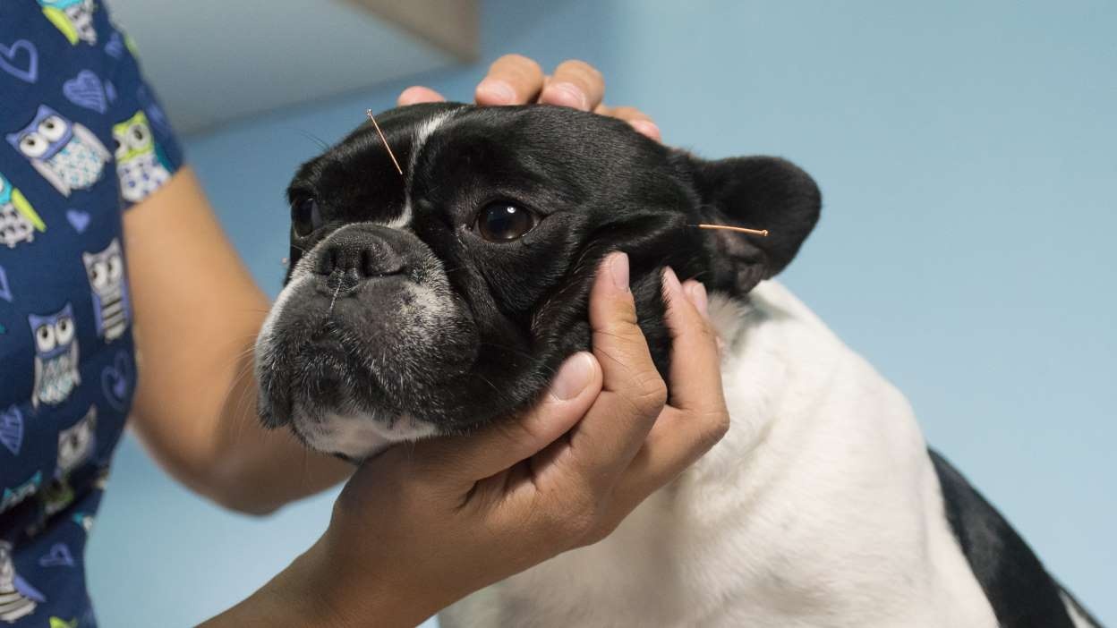 10 cong viec luong cao bat ngo it nguoi biet den anh 2