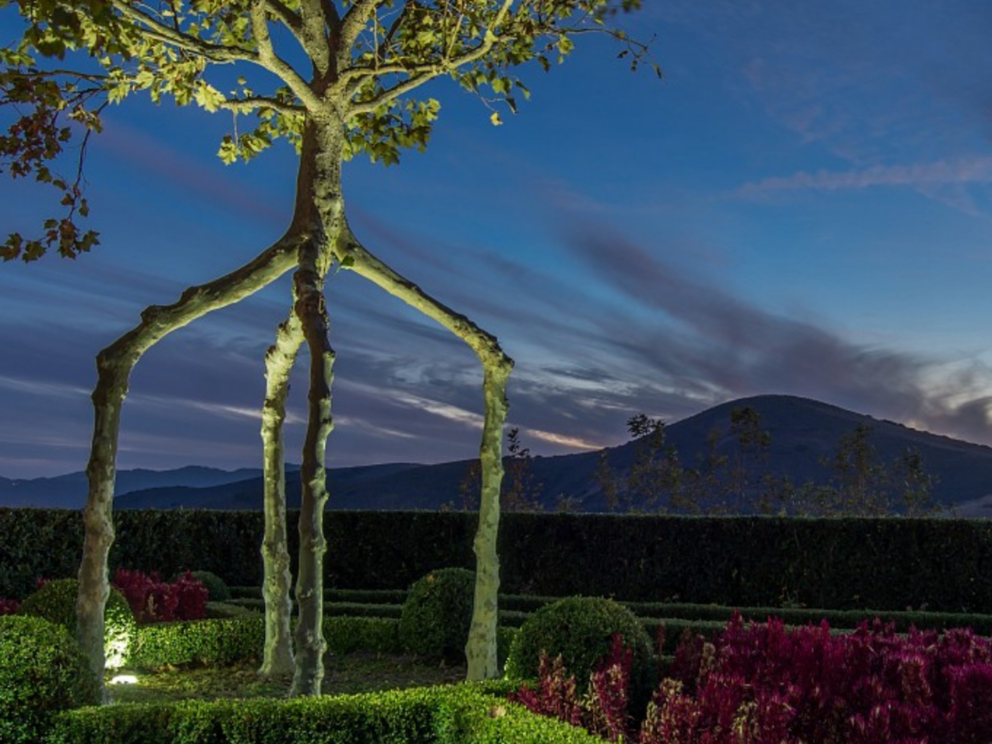 Dinh thự 85 triệu đô của đại gia sản xuất phim ảnh 6 Dinh thu 85 trieu do cua dai gia san xuat phim anh 6